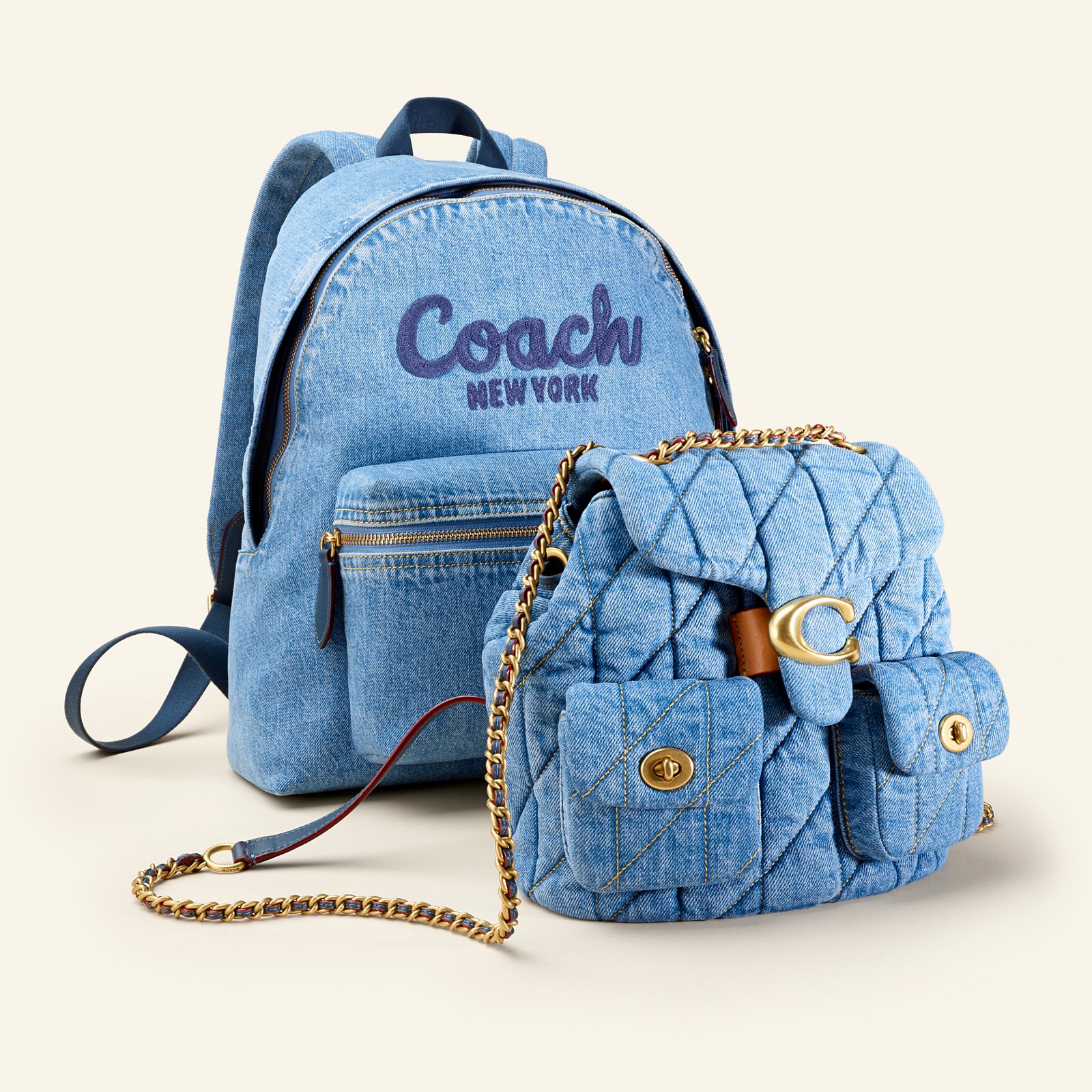 Backpacks & Fanny Packs
