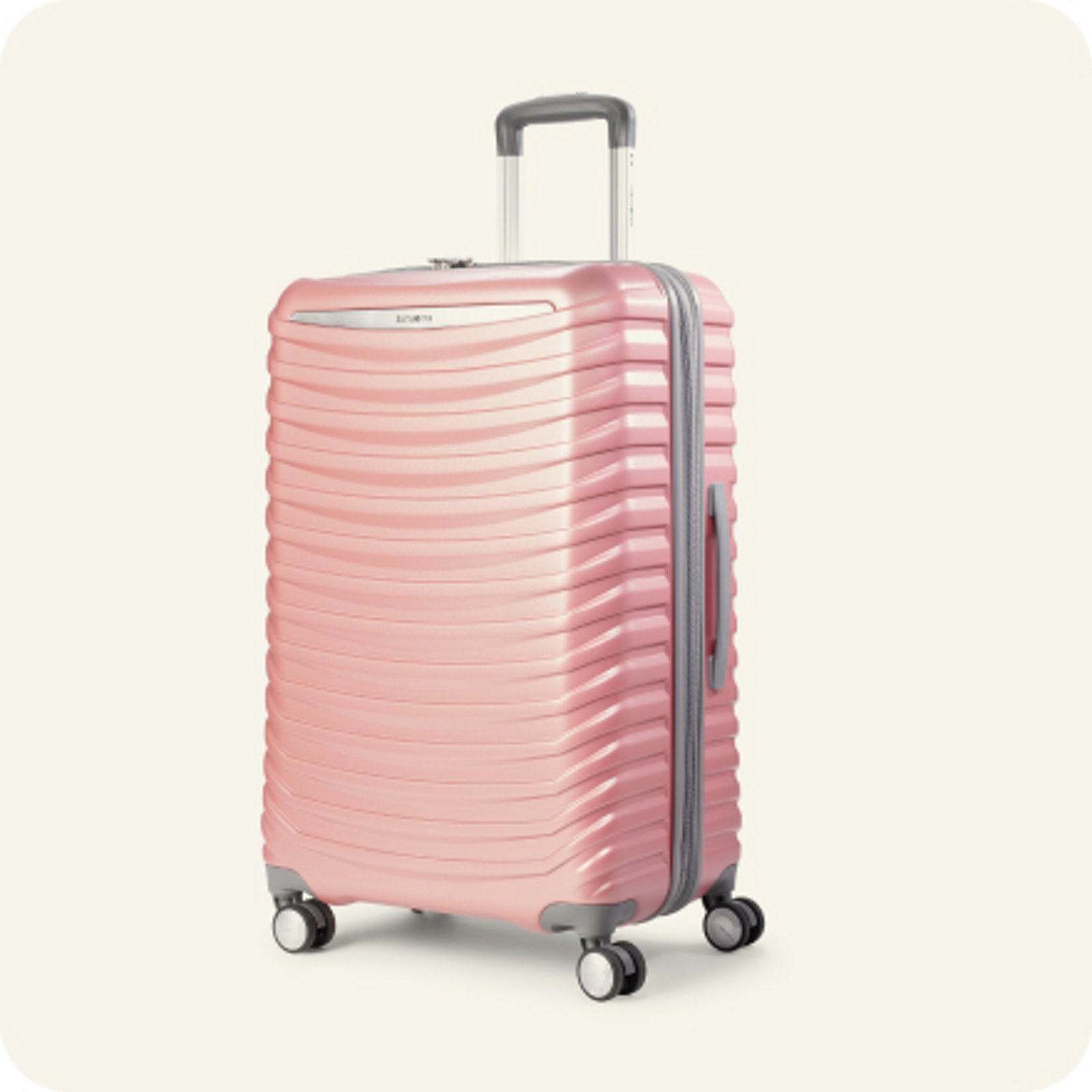 Checked Luggage