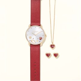 Jewelry & Watches