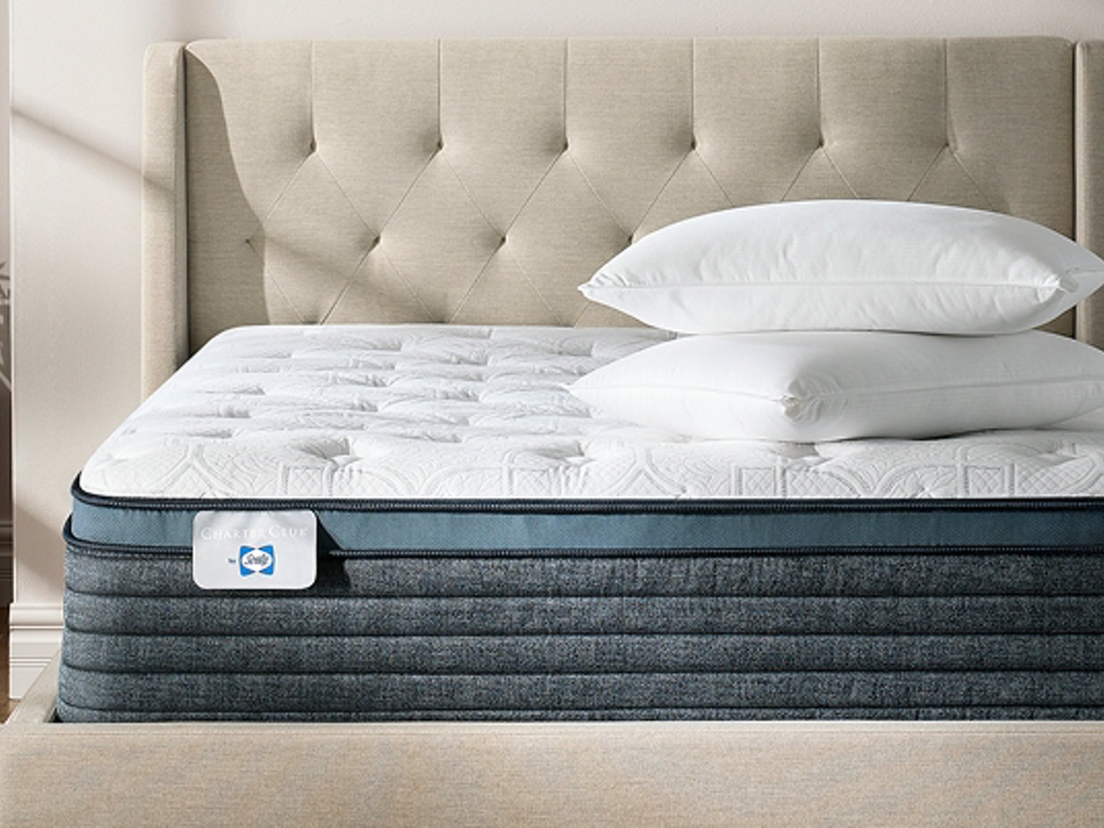 Charter Club by Sealy