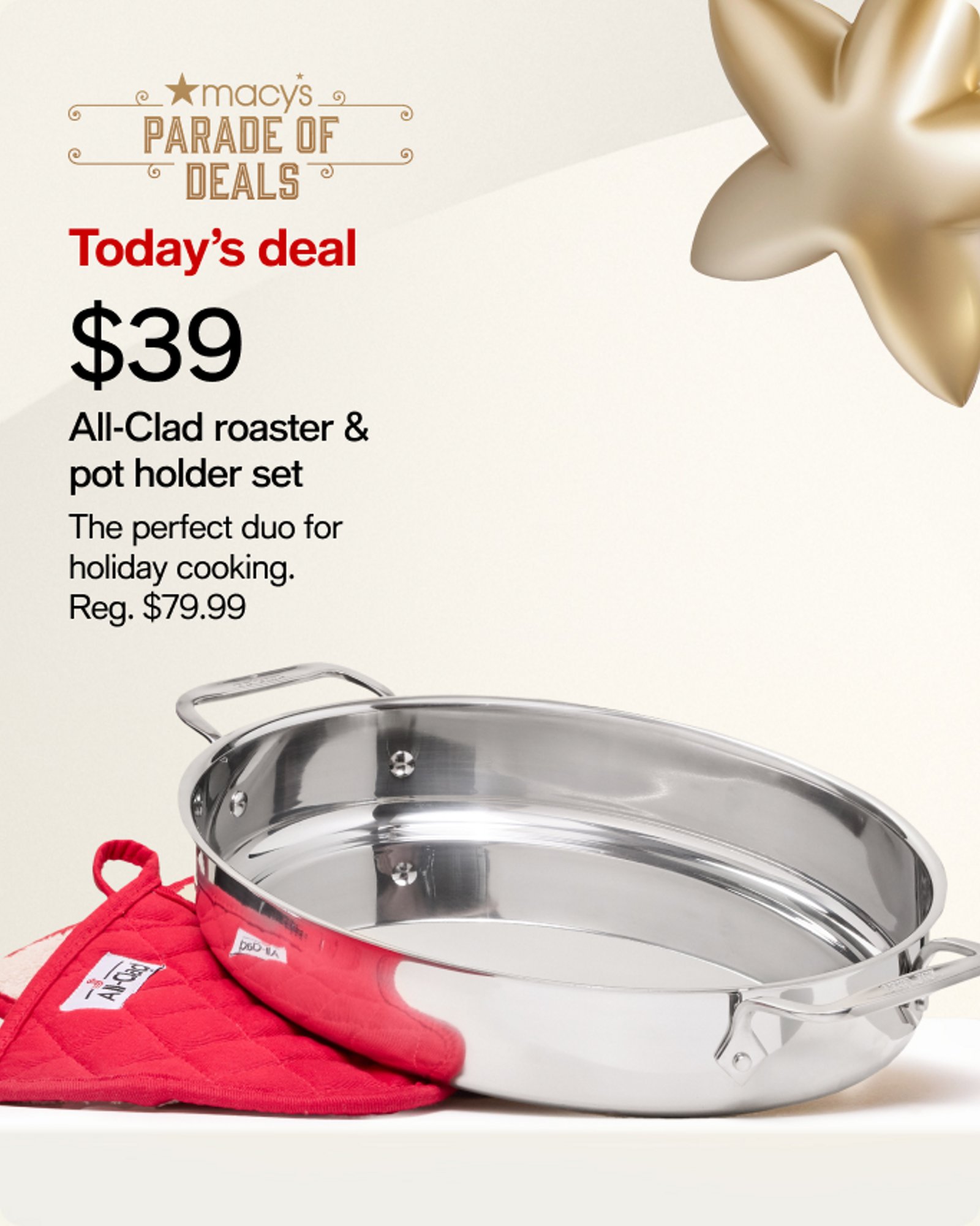 $39 All Clad Roaster / Pot Holder Set